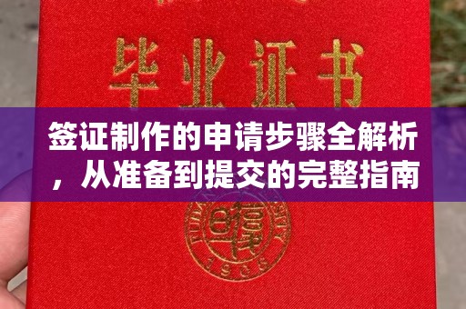 崇安签证制作的申请步骤全解析，从准备到提交的完整指南