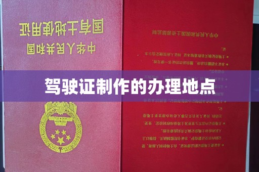 崇安驾驶证制作的办理地点
