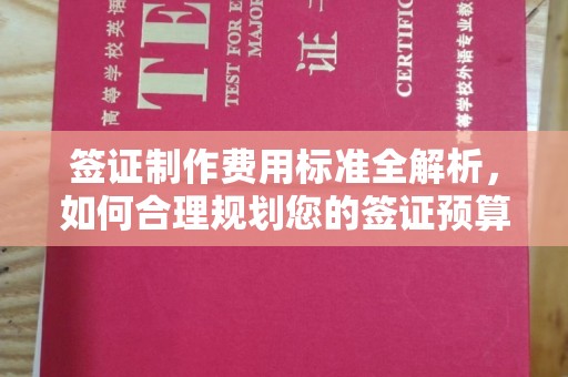 崇安签证制作费用标准全解析，如何合理规划您的签证预算？
