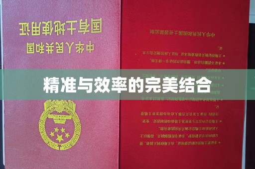 崇安精准与效率的完美结合